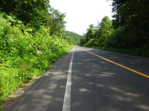 DSC00712