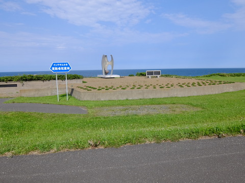 DSCF2813