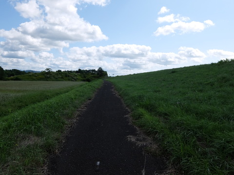 DSCF7540