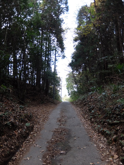 DSCF5884