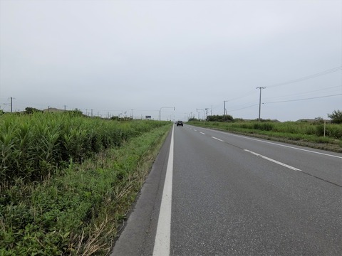 DSCF5092
