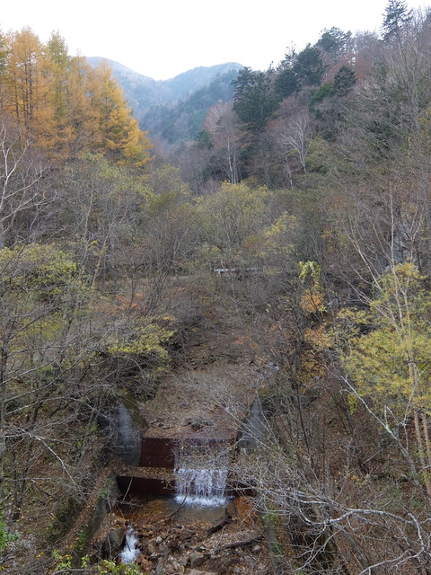 DSCF2025