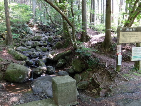 DSCF5658