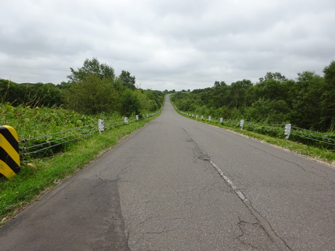 DSC00660