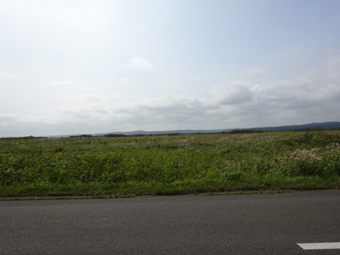DSC00720