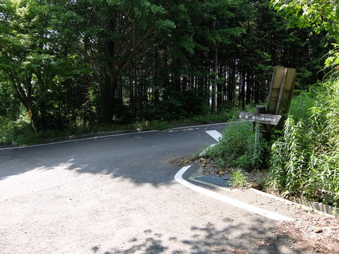 DSCF5661