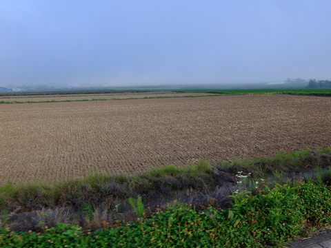 DSCF3253