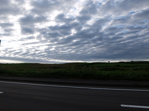DSCF2665