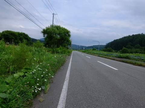 DSCF2877