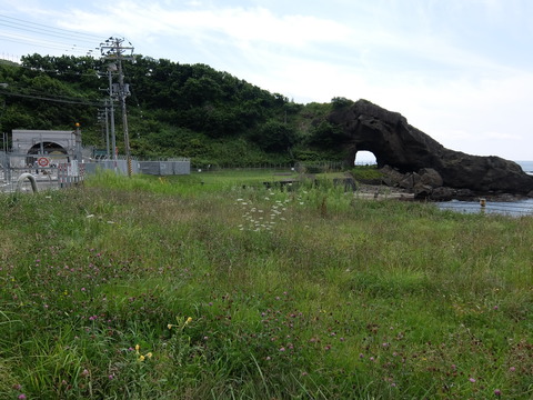 DSCF4454