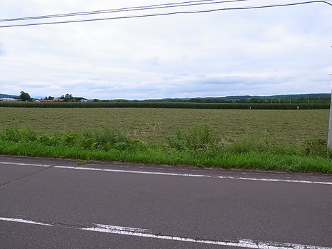 R0011498