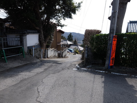 DSCF6308