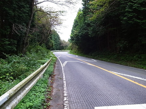 R0011616