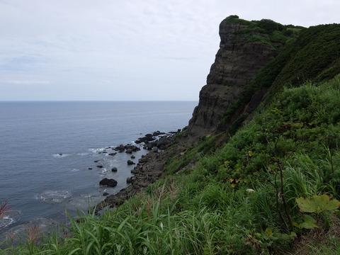 DSCF4635