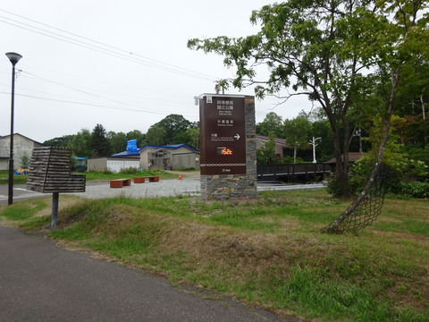 DSC00536