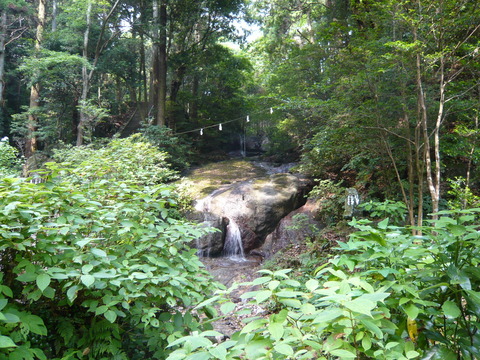 P1020106