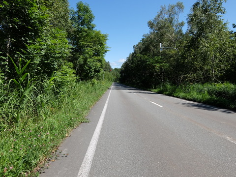 DSCF7191