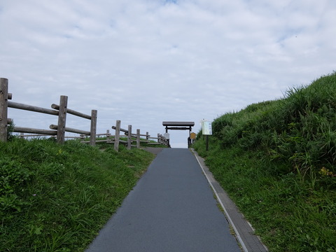 DSCF4568