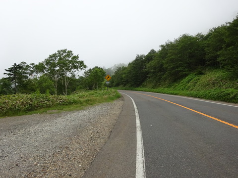 DSC00501