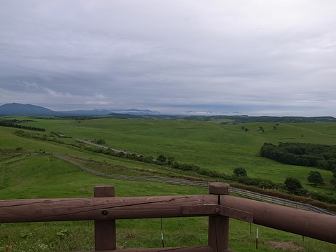 R0011459