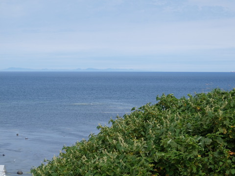 DSCF2780