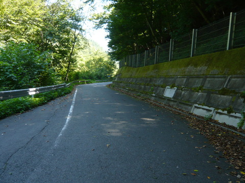 P1010865
