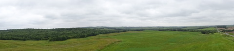 DSC00650