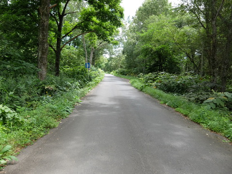 DSCF7290