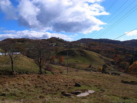 R0011708