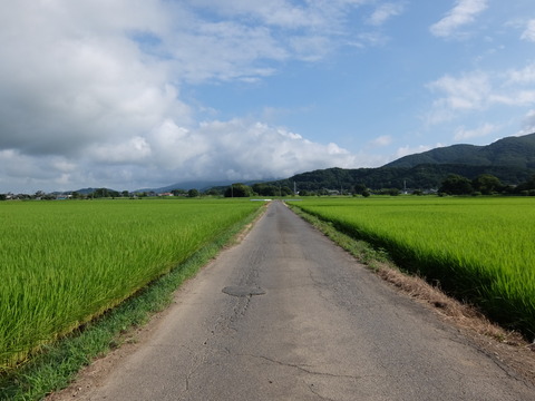 DSCF6333