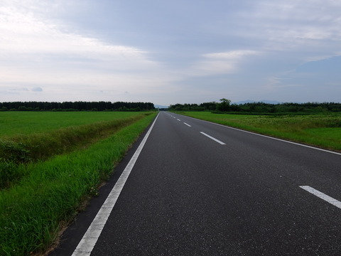DSCF2834