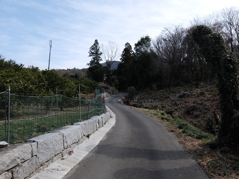 DSCF6287