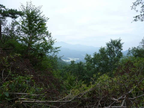 P1010699