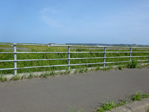 DSC00723