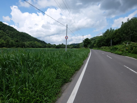 DSCF6710