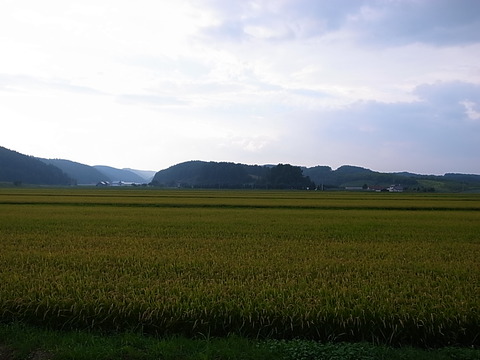 R0012166