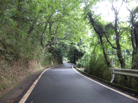 DSCF6337
