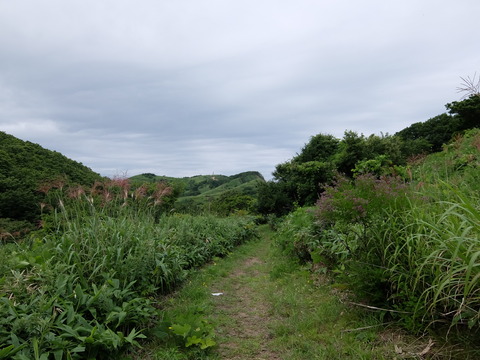 DSCF4641