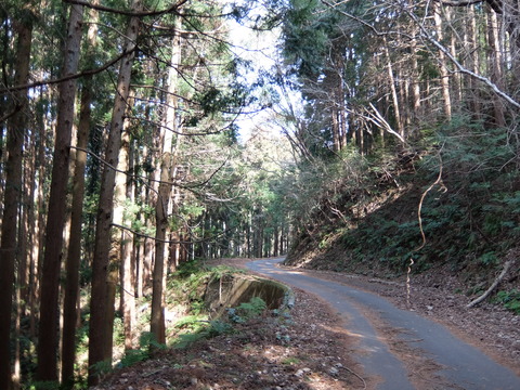 DSCF5960