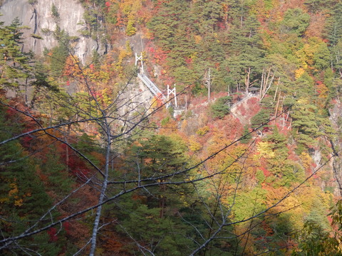 DSCF2046