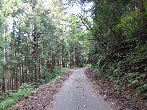 DSCF6230