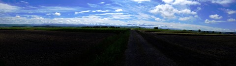 DSCF3115