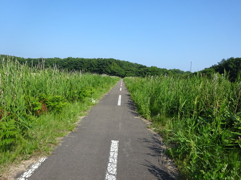 DSC00339