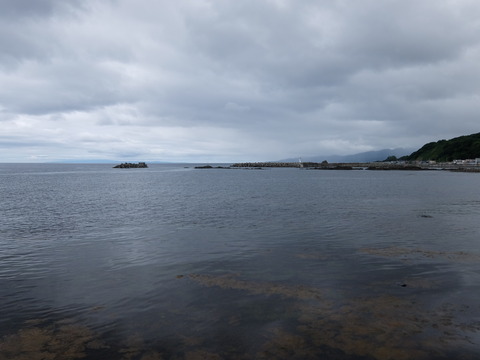 DSCF4138