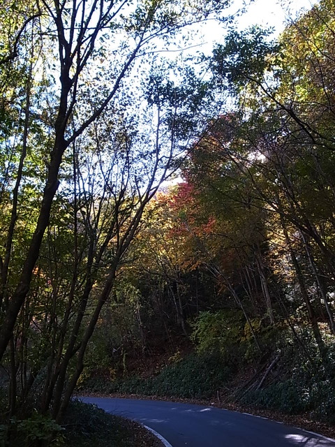 R0011715