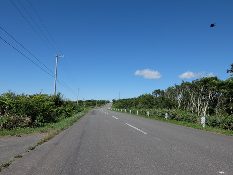 DSCF2728
