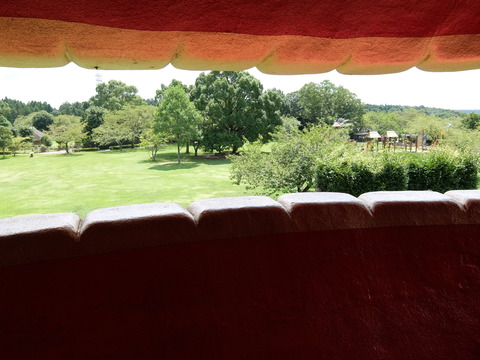 DSCF6349
