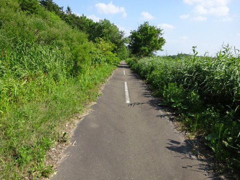 DSC00320