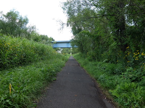DSCF7526