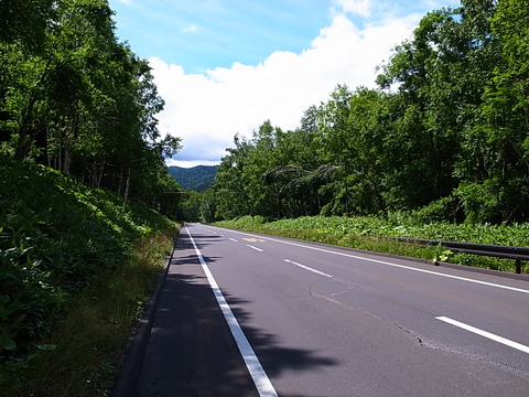 R0011991